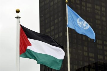 onu palestina