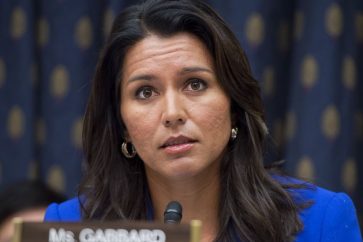 tulsi gabbard