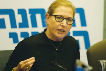 livni