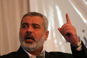 haniyeh-categorico