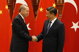 erdogan-xi