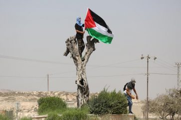 palestina