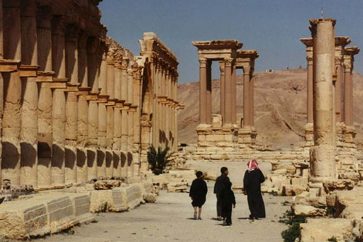 palmyra