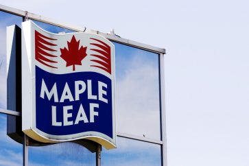 maple leaf