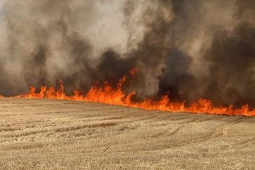 incendio-cosechas-lugansk