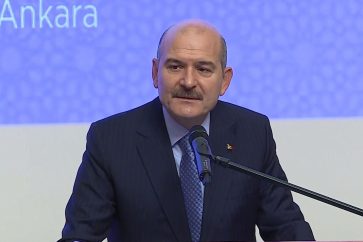 soylu