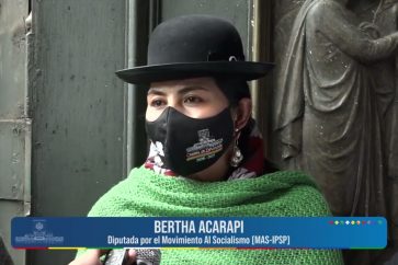 la-diputada-del-movimiento-al-socialismo-bertha-aracapi