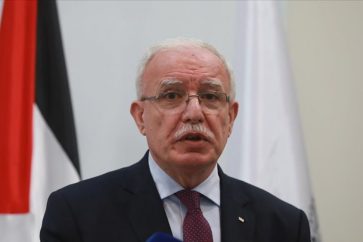 Riyad al-Maliki