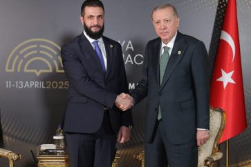 shara-erdogan